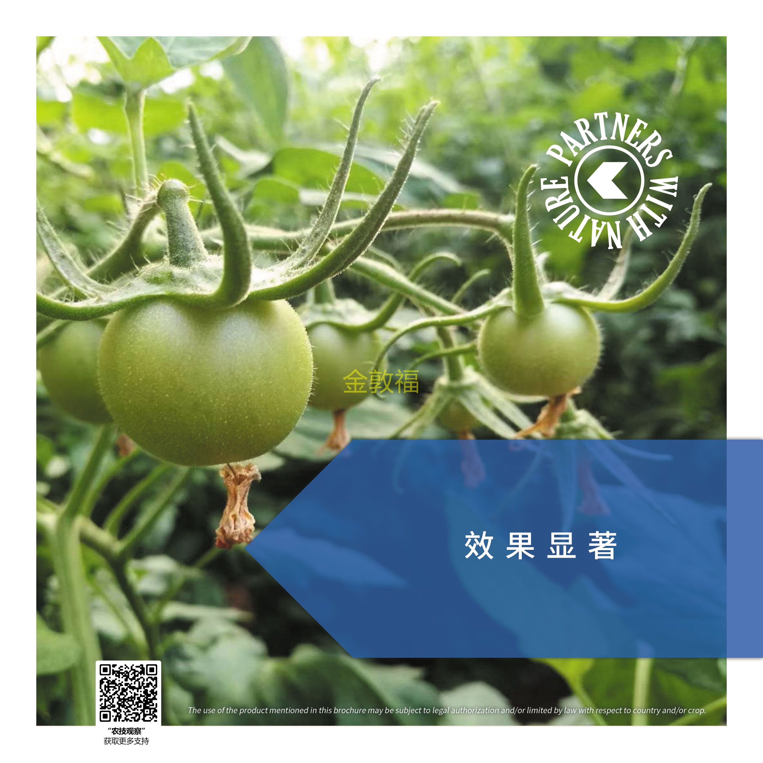 37000cm威尼斯(中国)有限公司官网