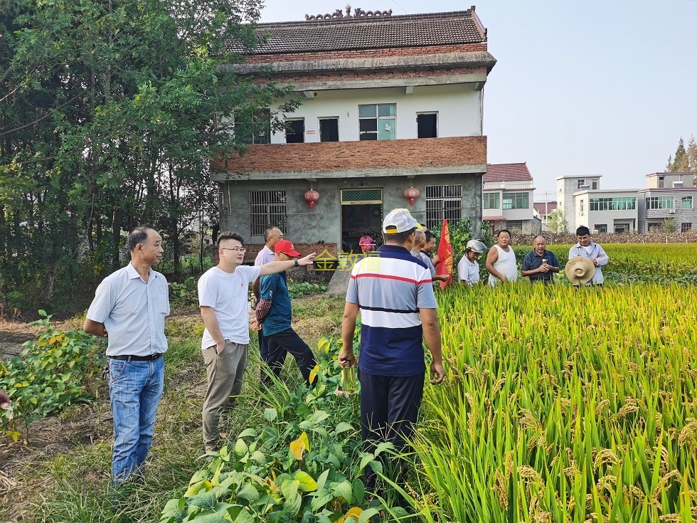 37000cm威尼斯(中国)有限公司官网