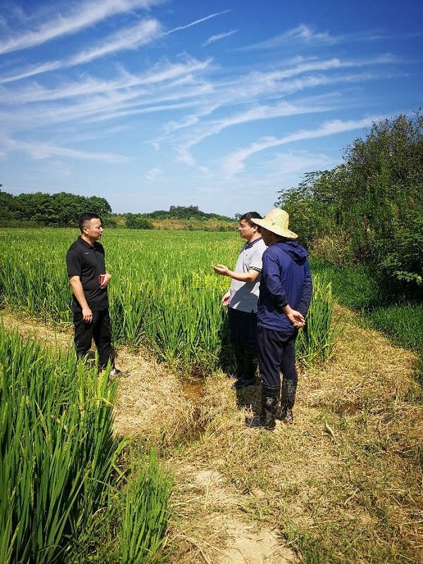 37000cm威尼斯(中国)有限公司官网