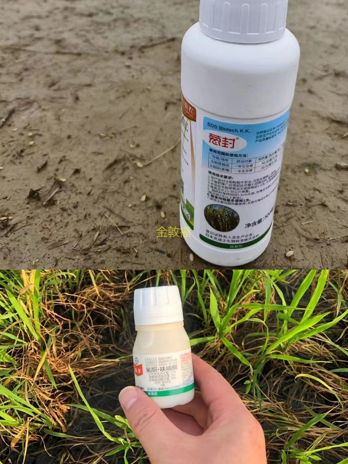 37000cm威尼斯(中国)有限公司官网